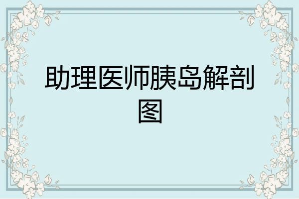 助理医师胰岛解剖图