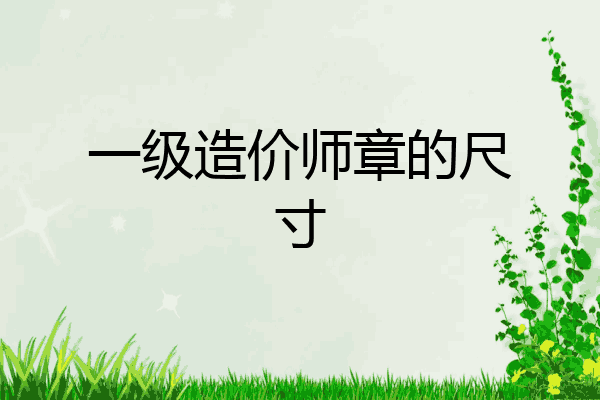 一级造价师章的尺寸