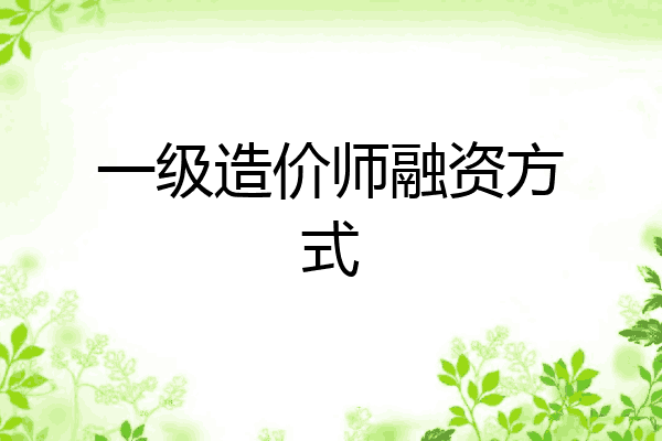 一级造价师融资方式