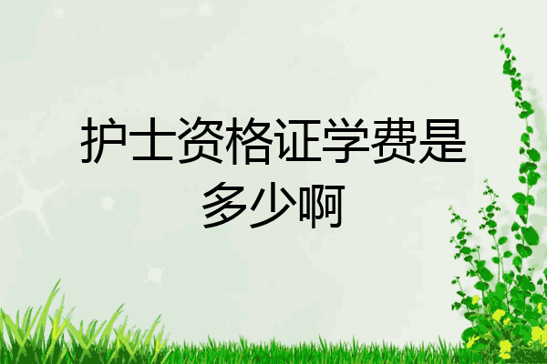 护士资格证学费是多少啊