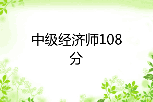 中级经济师108分
