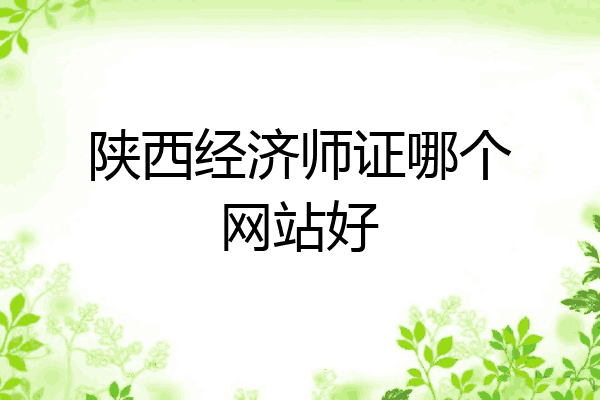 陕西经济师证哪个网站好