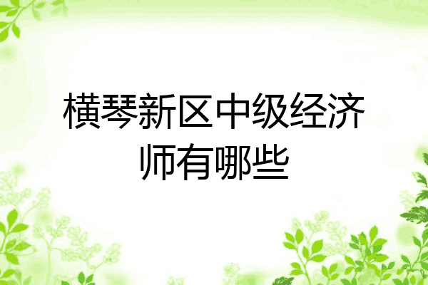 横琴新区中级经济师有哪些
