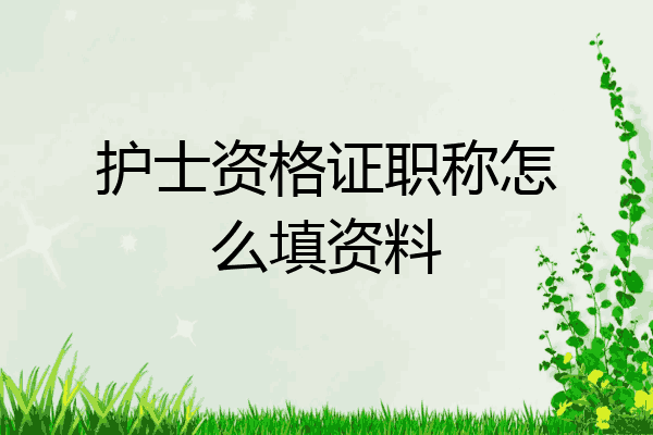 护士资格证职称怎么填资料