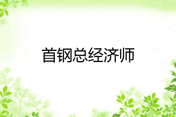 首钢总经济师
