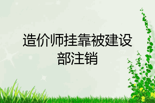 造价师挂靠被建设部注销