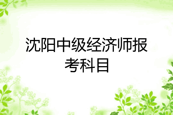 沈阳中级经济师报考科目