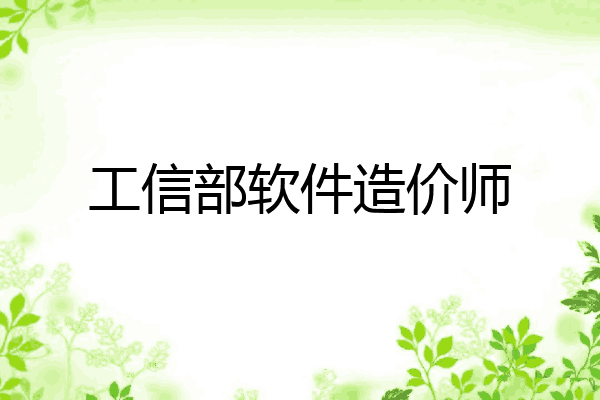 工信部软件造价师