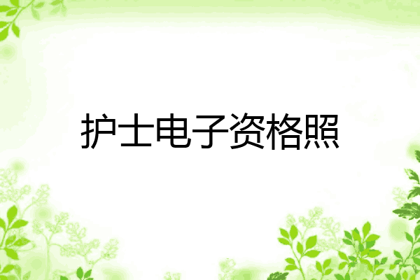 护士电子资格照
