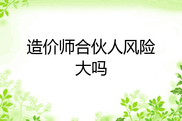 造价师合伙人风险大吗