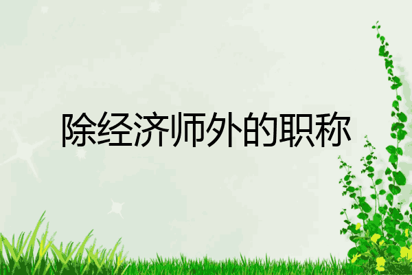 除经济师外的职称