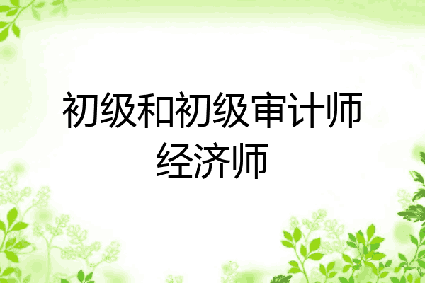 初级和初级审计师经济师
