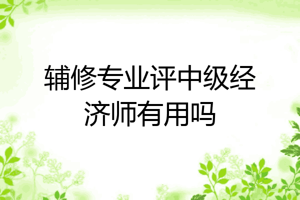 辅修专业评中级经济师有用吗