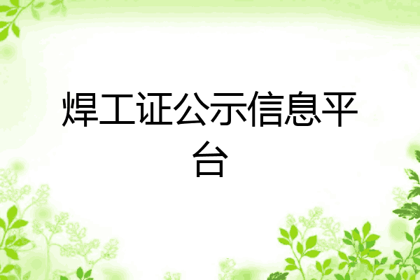 焊工证公示信息平台