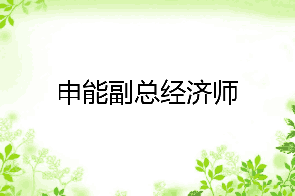 申能副总经济师