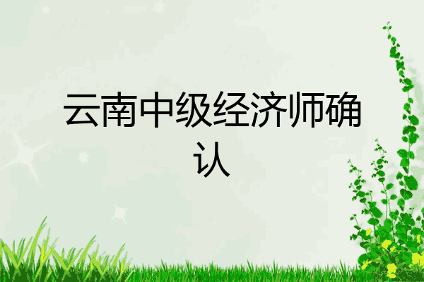 云南中级经济师确认
