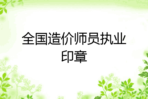 全国造价师员执业印章