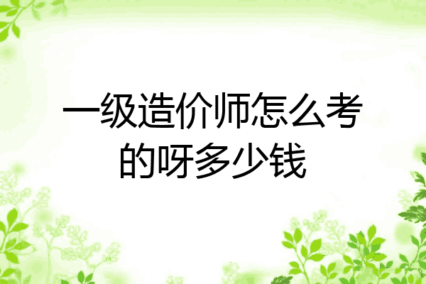 一级造价师怎么考的呀多少钱