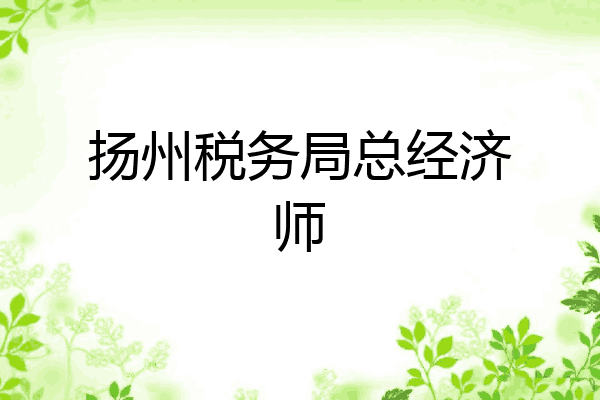 扬州税务局总经济师