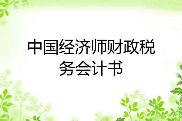 中国经济师财政税务会计书