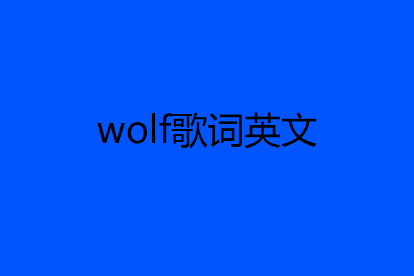 wolf歌词英文
