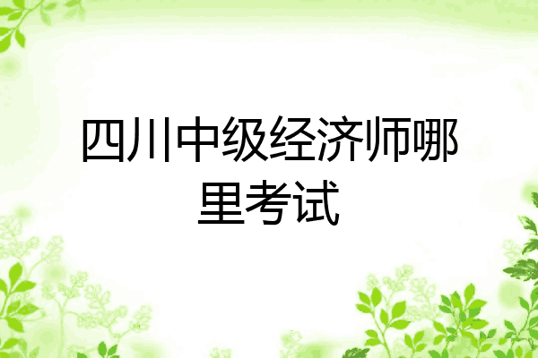 四川中级经济师哪里考试