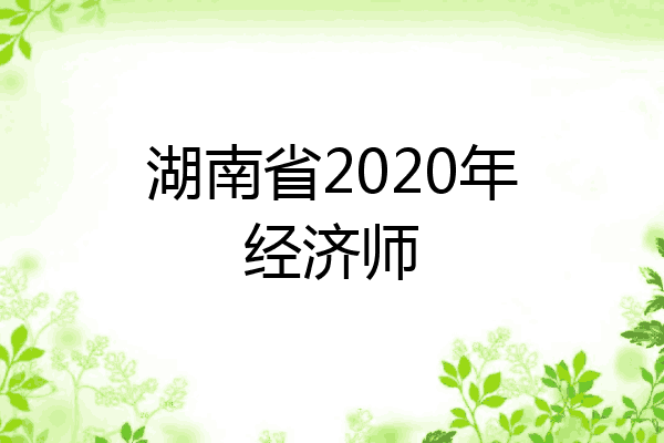 湖南省2020年经济师