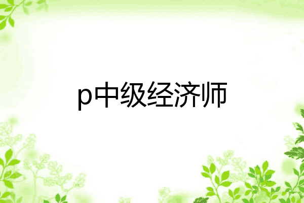 p中级经济师