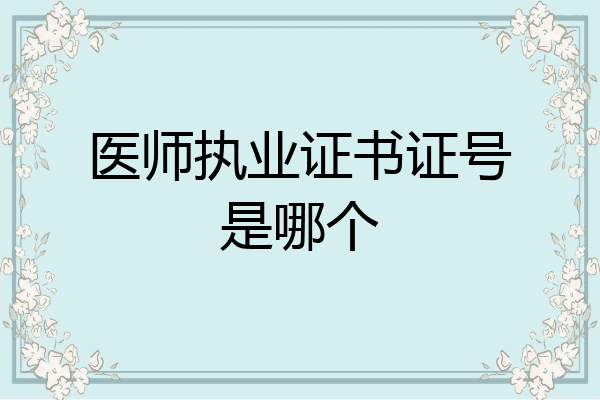 医师执业证书证号是哪个