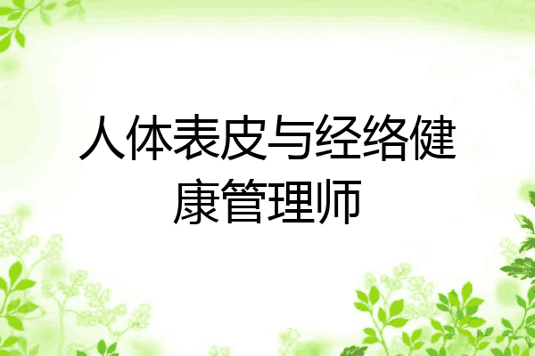 人体表皮与经络健康管理师