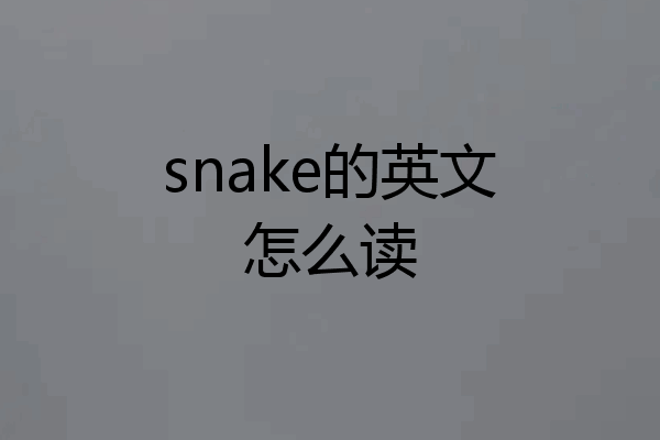snake的英文怎么读
