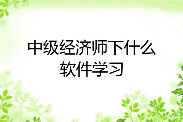 中级经济师下什么软件学习