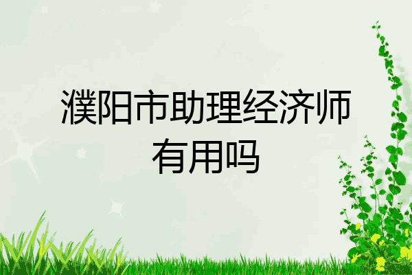 濮阳市助理经济师有用吗