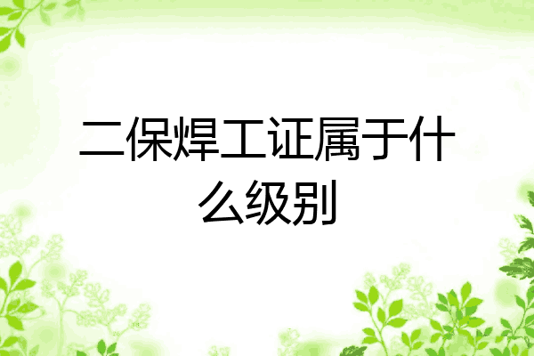 二保焊工证属于什么级别