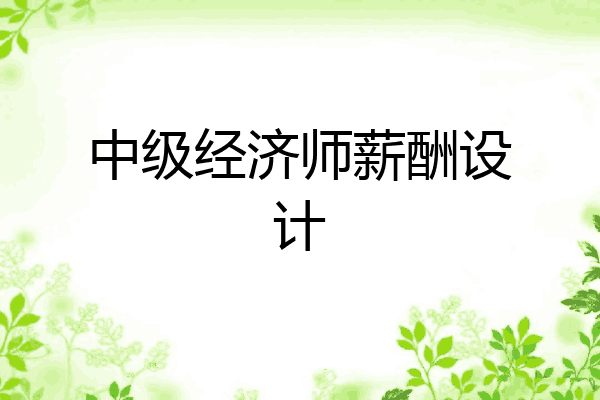 中级经济师薪酬设计