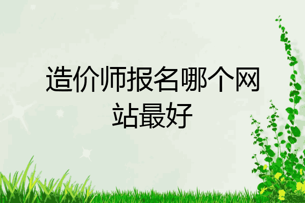 造价师报名哪个网站最好