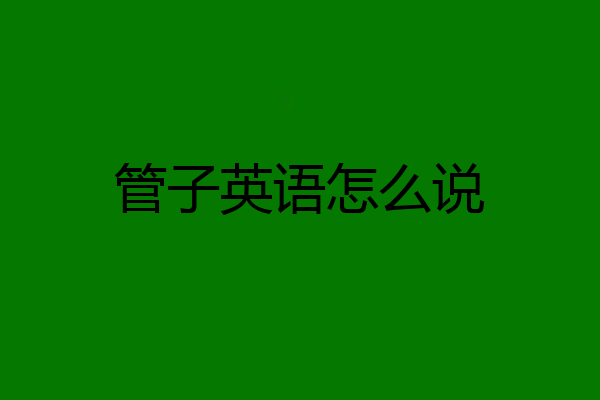管子英语怎么说