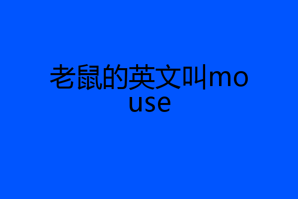 老鼠的英文叫mouse