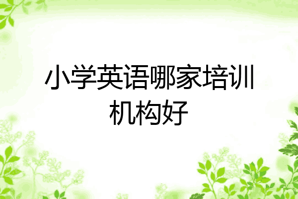 小学英语哪家培训机构好