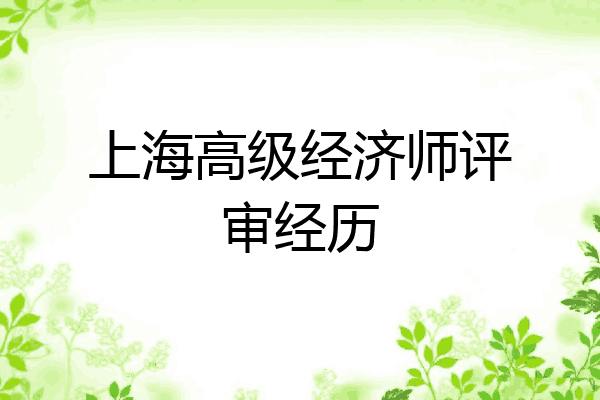 上海高级经济师评审经历