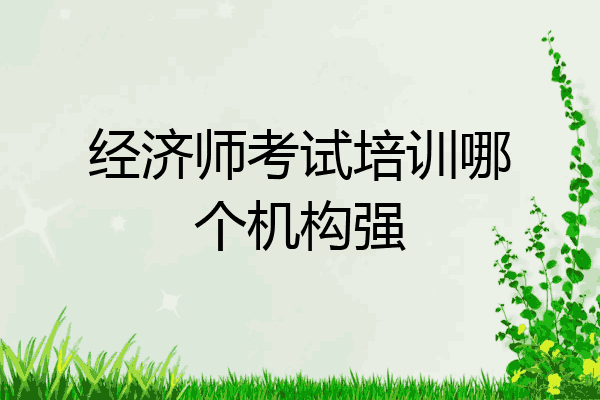 经济师考试培训哪个机构强