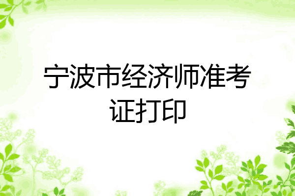 宁波市经济师准考证打印
