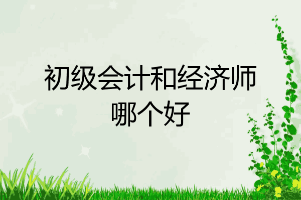 初级会计和经济师哪个好