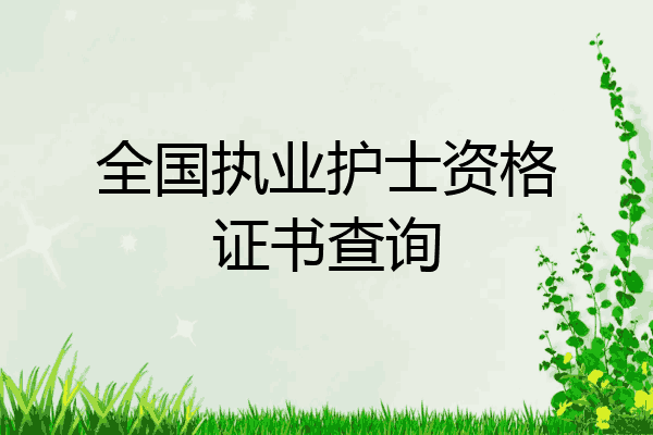 全国执业护士资格证书查询