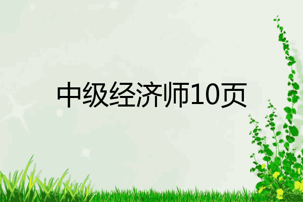 中级经济师10页