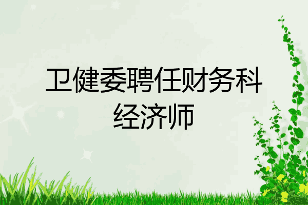 卫健委聘任财务科经济师