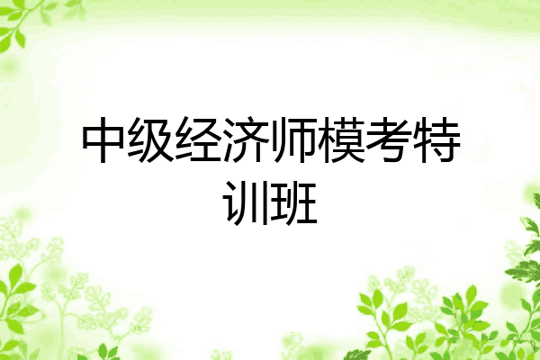 中级经济师模考特训班