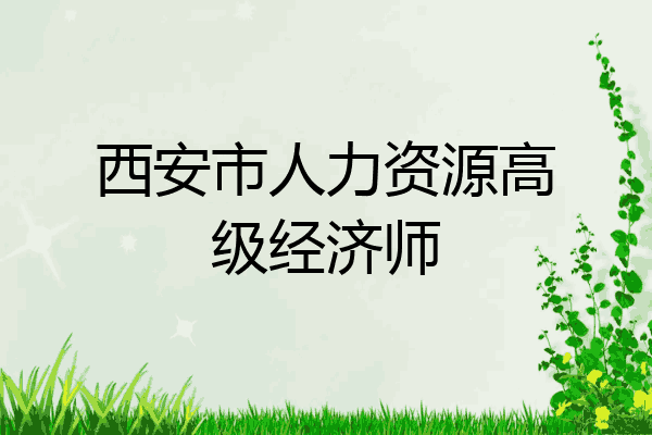 西安市人力资源高级经济师