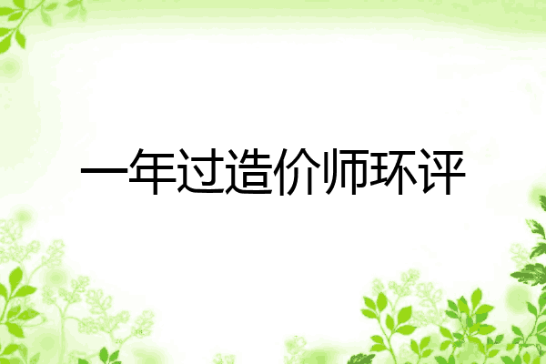 一年过造价师环评