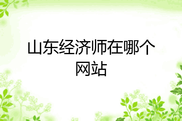 山东经济师在哪个网站
